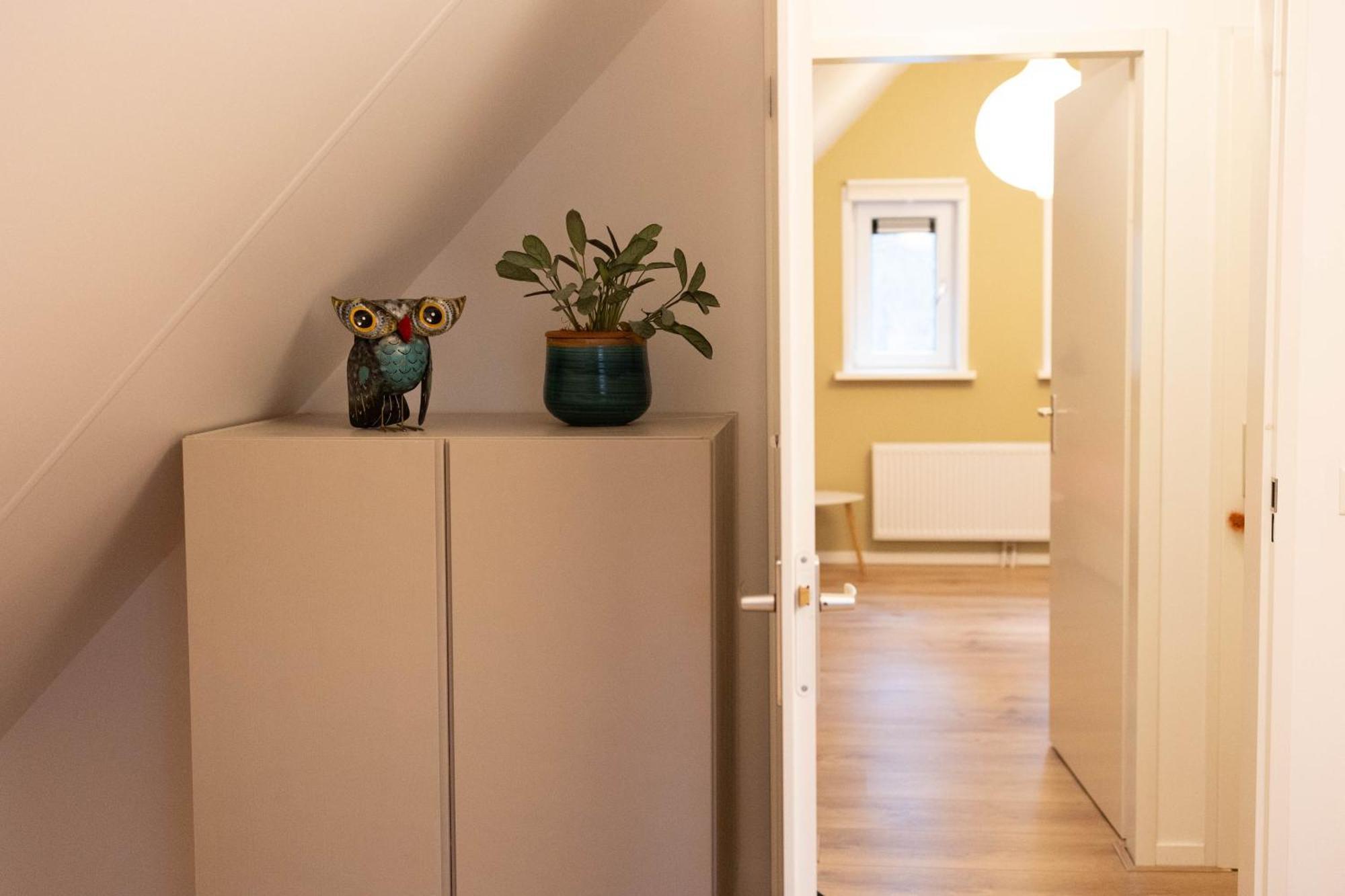 Vakantiehuis Vliegend Hert Veluwe نونسبيت المظهر الخارجي الصورة